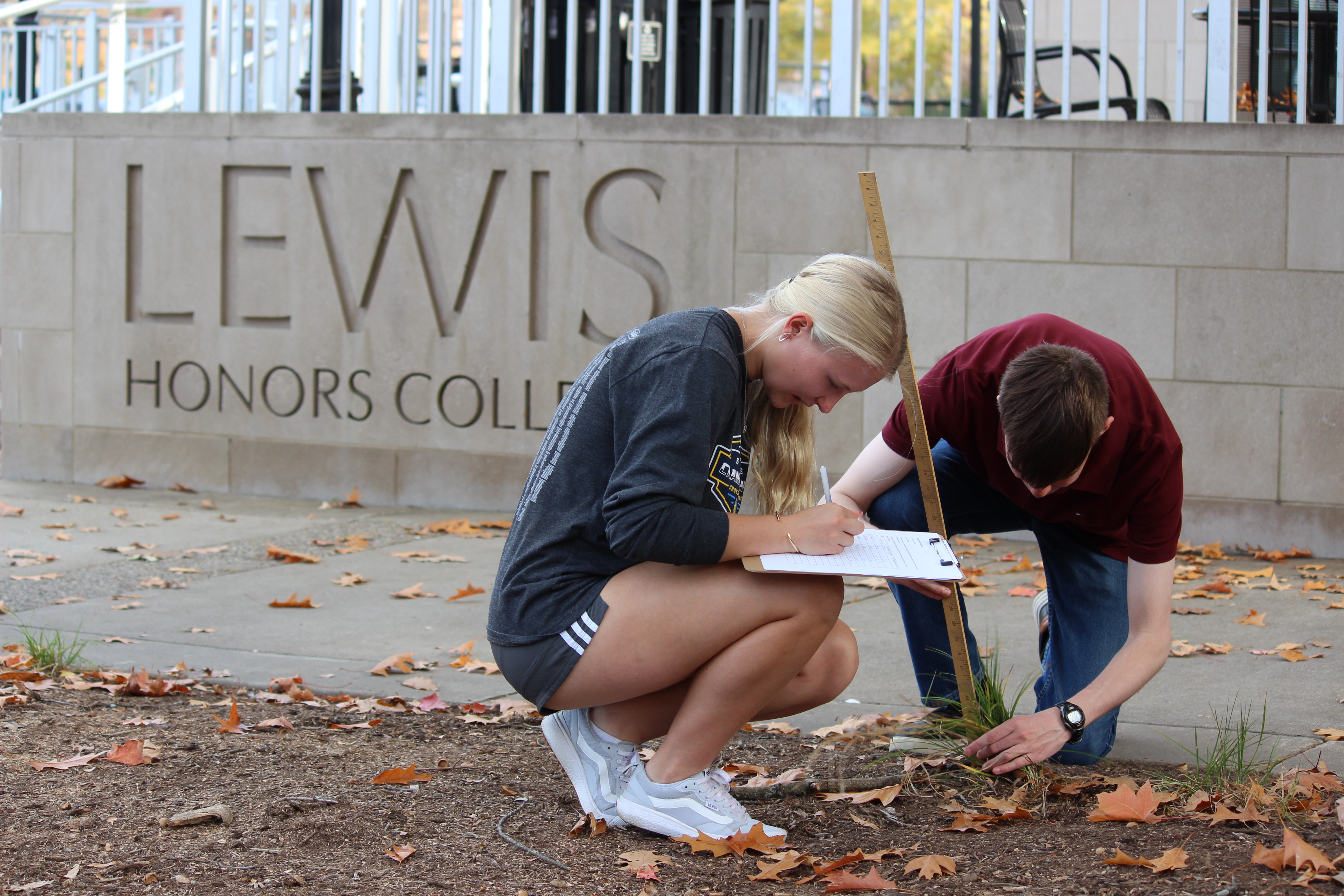 Students conducting research