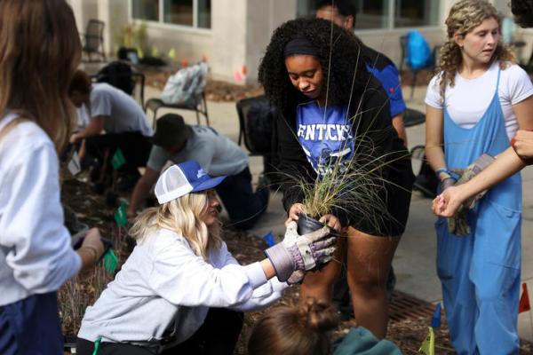 Lewis Honors College students plant native species in the college’s pollinator garden.