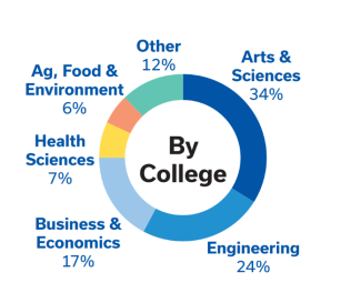 A pie-chart showing the statistics of which colleges students of the Lewis Honors College are enrolled in. 34% of students are enrolled in the College of Arts and Sciences, 24% are enrolled in the College of Engineering, 17% are enrolled in the College of Business and Economics, 7% are enrolled in the College of Health Sciences, 6% are enrolled in the College of Agriculture, and 12% belong to other colleges.