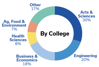 Enrollment by college pie chart (Arts & Sciences 30%, Engineering 20%, Business and Economics 18%, Health Sciences 8%, Ag, Food & Environment 7%, Other 17%