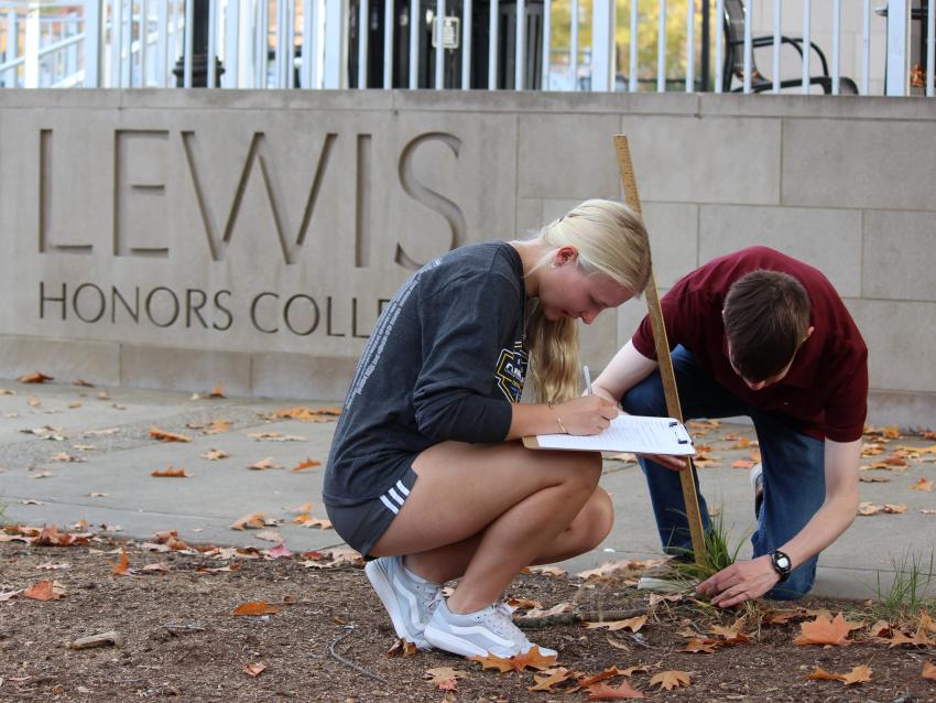 Students conducting research