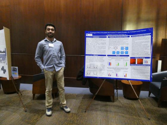 Thesis Showcase